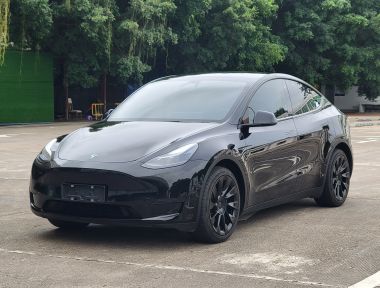 Tesla Model Y 2022 car image 