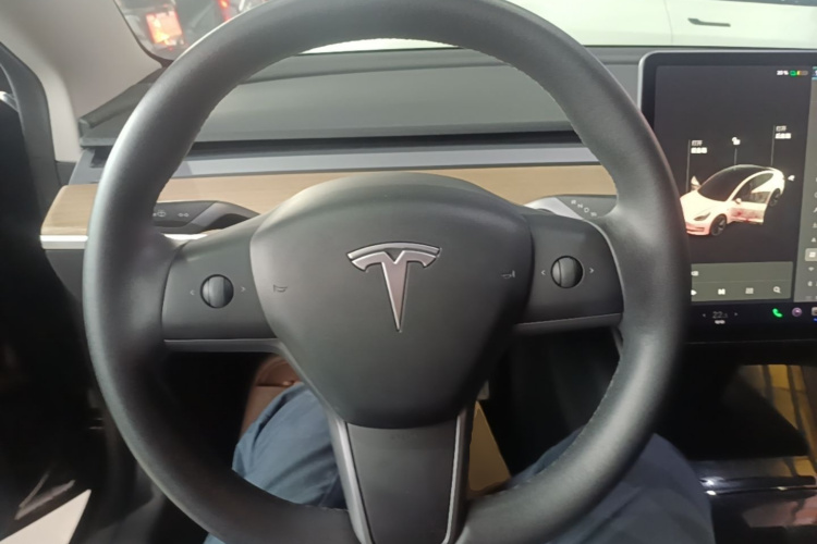 Tesla Model 3 2020 car image #11