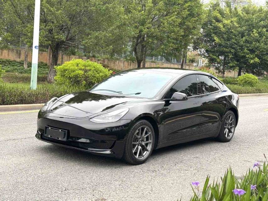 Tesla Model 3 2021 Tesla Model 3 2021 car image