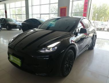 Tesla Model Y 2022 Tesla Model Y 2022 car image
