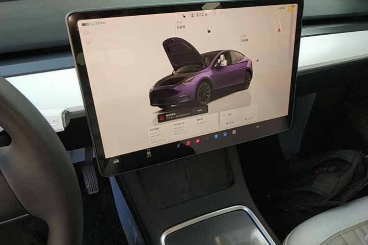 Tesla Model Y 2023 car image #13