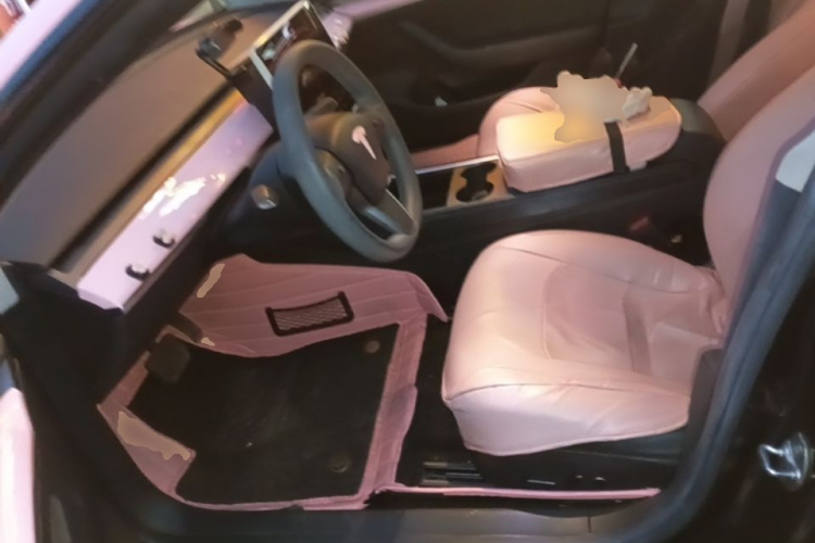 Tesla Model 3 2022 car image #15