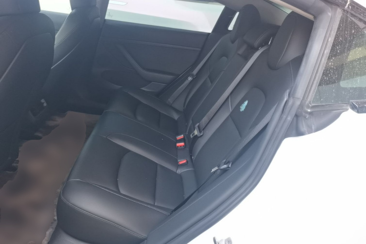 Tesla Model 3 2021 car image #17