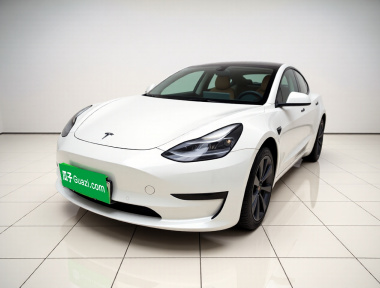 Tesla Model 3 2022 Tesla Model 3 2022 car image