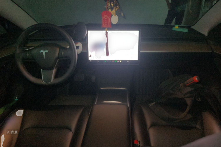 Tesla Model 3 2021 #11 Tesla Model 3 2021 car image #11