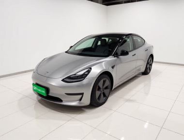 Tesla Model 3 2023 Tesla Model 3 2023 car image