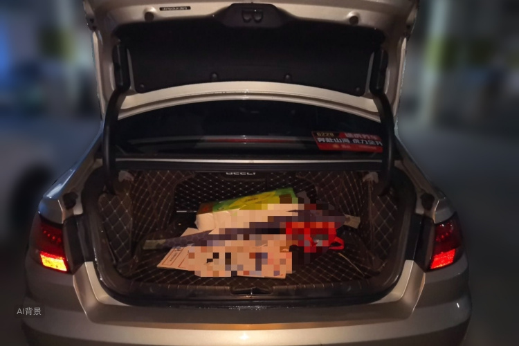 GEELY Emgrand GL 2019 car image #21