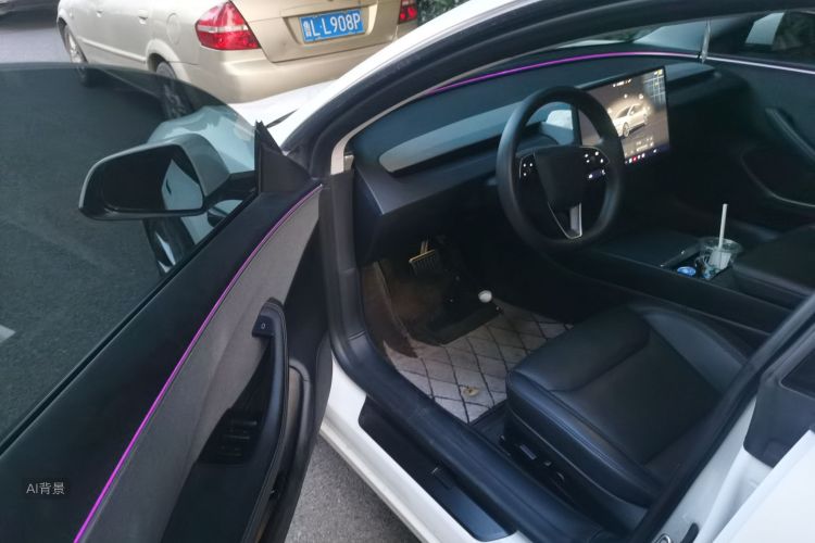 Tesla Model 3 2023 car image #18