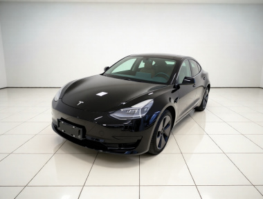 Tesla Model 3 2021 Tesla Model 3 2021 car image