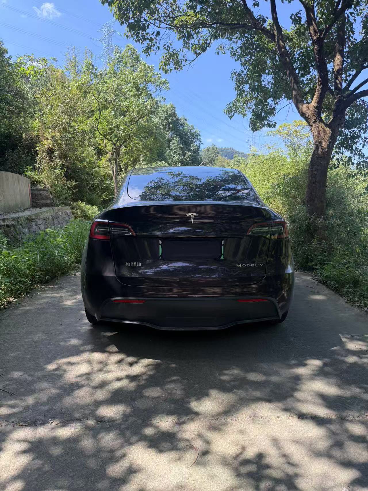Tesla Model Y 2025 car image #7