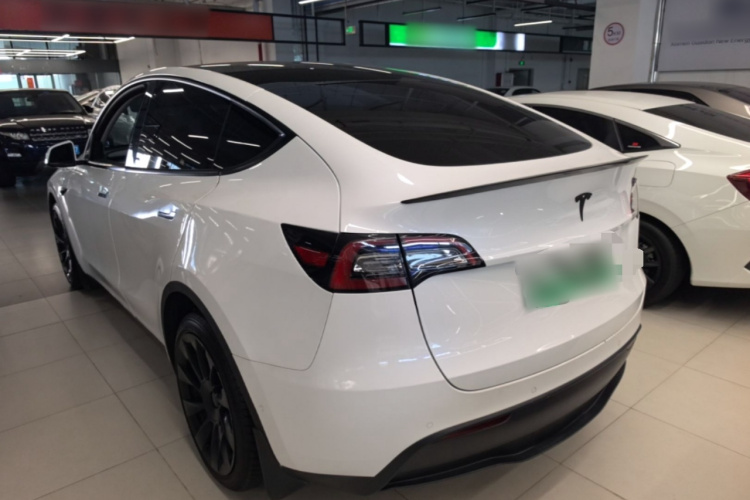 Tesla Model Y 2021 #5 Tesla Model Y 2021 car image #5