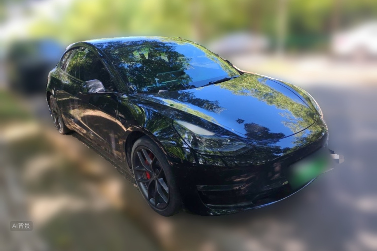 Tesla Model 3 2022 #4 Tesla Model 3 2022 car image #4