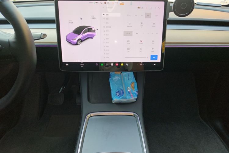Tesla Model Y 2021 car image #13