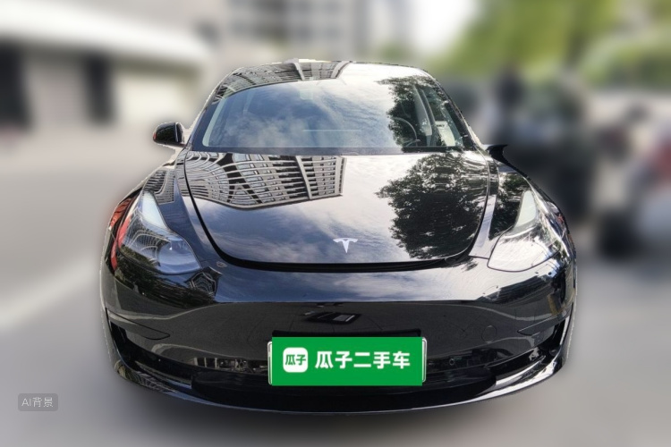 Tesla Model 3 2021 car image #3