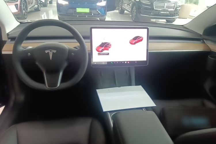 Tesla Model 3 2022 #10 Tesla Model 3 2022 car image #10
