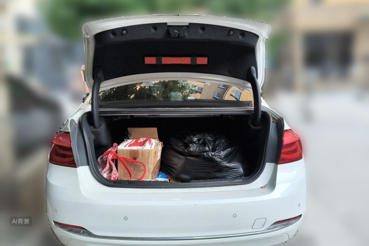 BMW 3 Series 2017 #21 BMW 3 Series 2017 car image #21