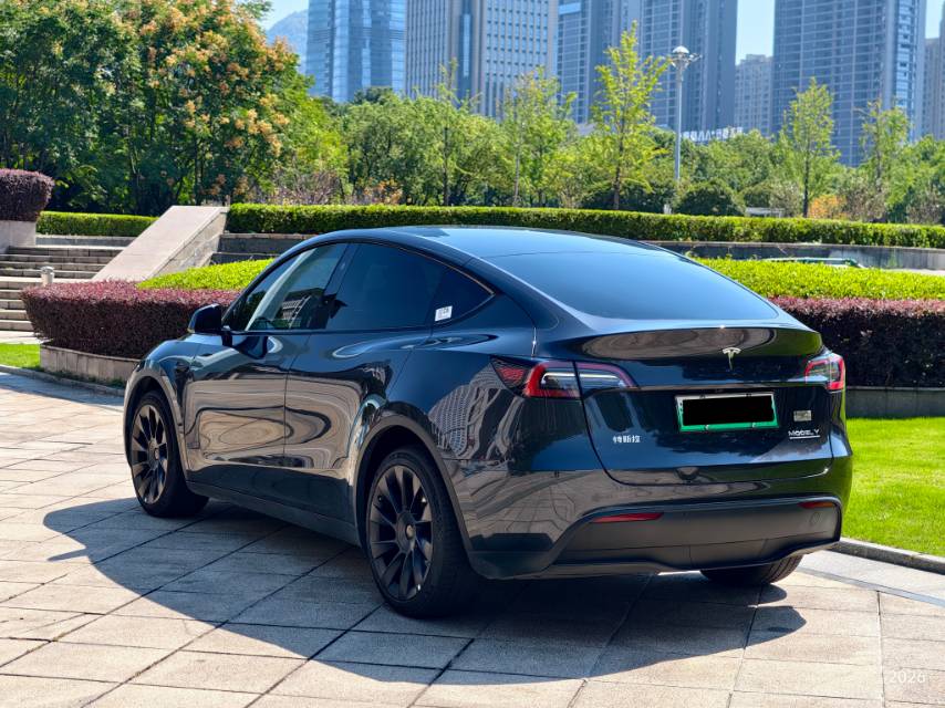 Tesla Model Y 2024 imagen de coche #14