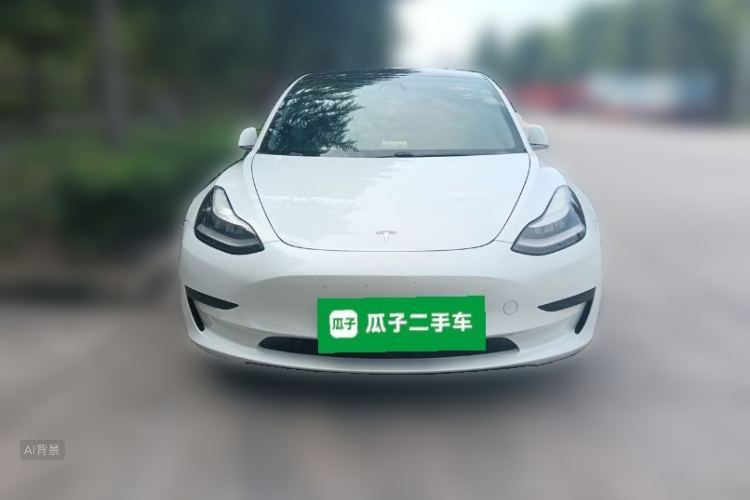 Tesla Model 3 2020 #3 Tesla Model 3 2020 car image #3