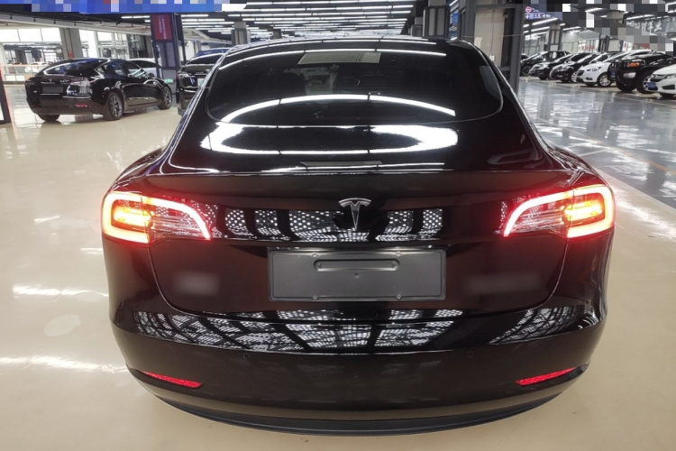 Tesla Model 3 2021 immagine di auto #4