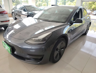 Tesla Model 3 2021 Tesla Model 3 2021 car image