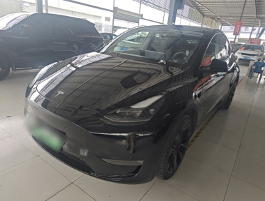 Tesla Model Y 2021 car image 