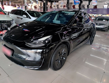 Tesla Model Y 2022 car image 
