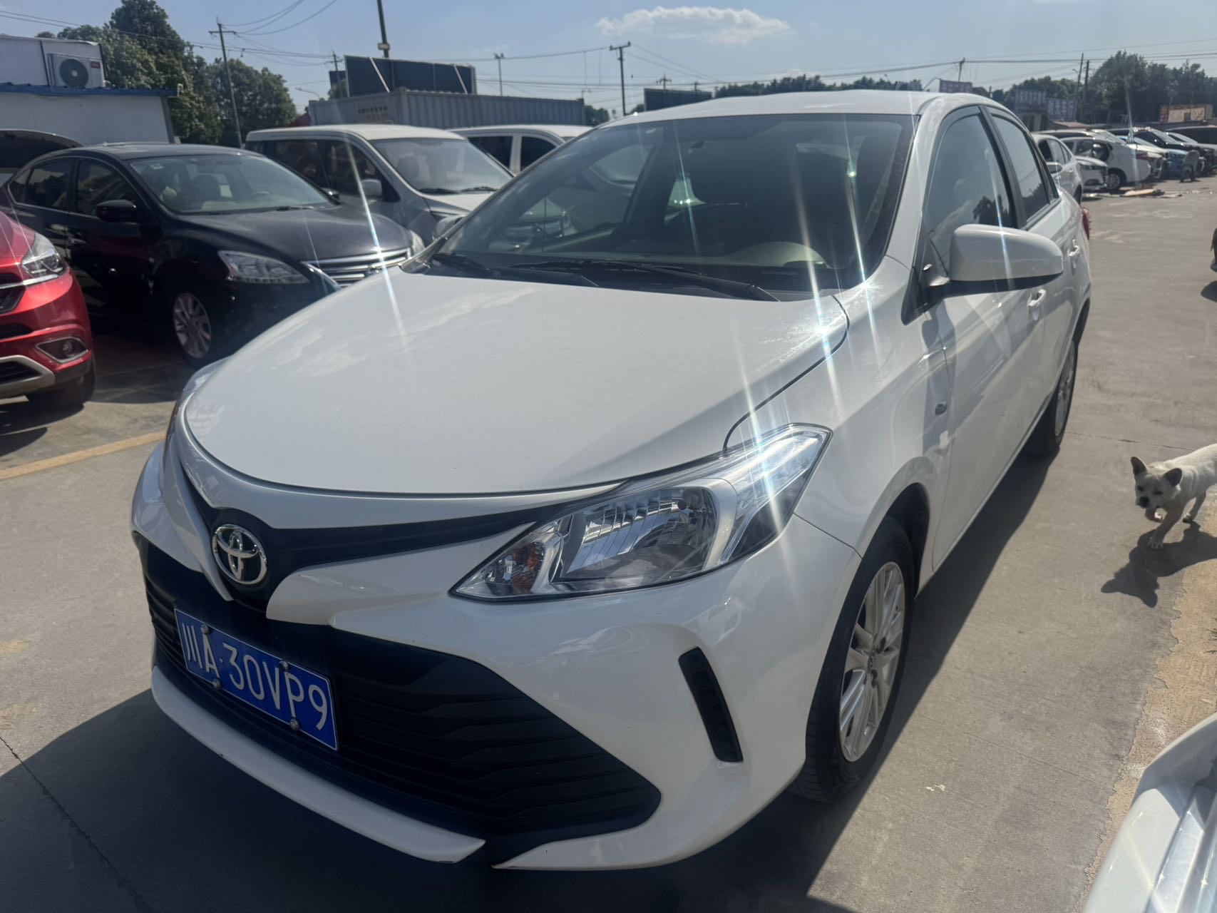 Toyota Vios 2017 car image 