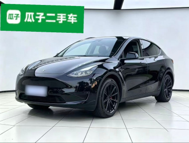 Tesla Model Y 2021 Tesla Model Y 2021 car image