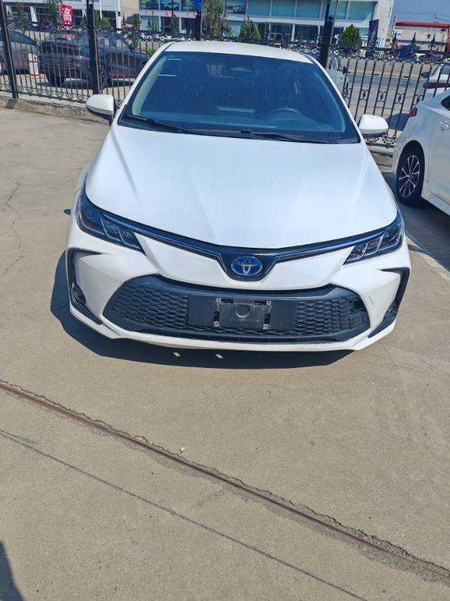 Toyota Corolla 2023 car image 
