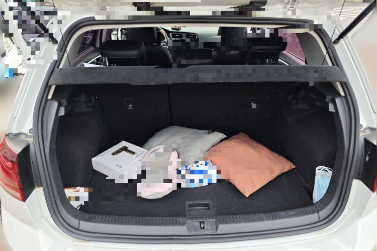Volkswagen Golf 2018 car image #17