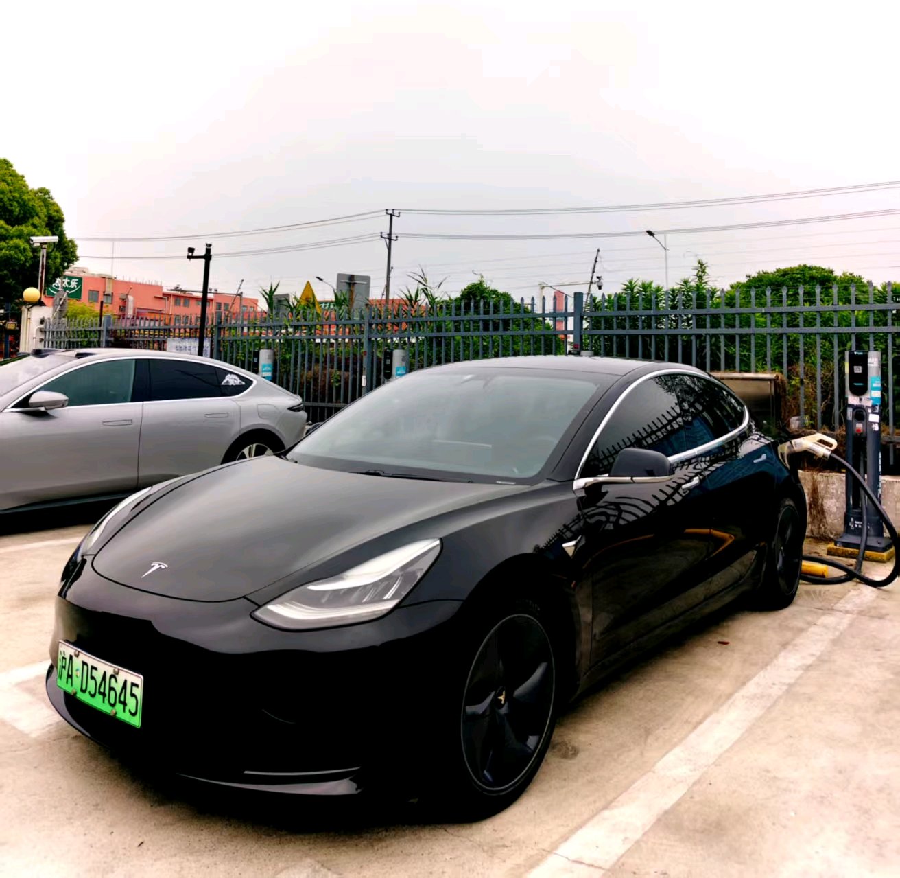 Tesla Model 3 2020 car image 