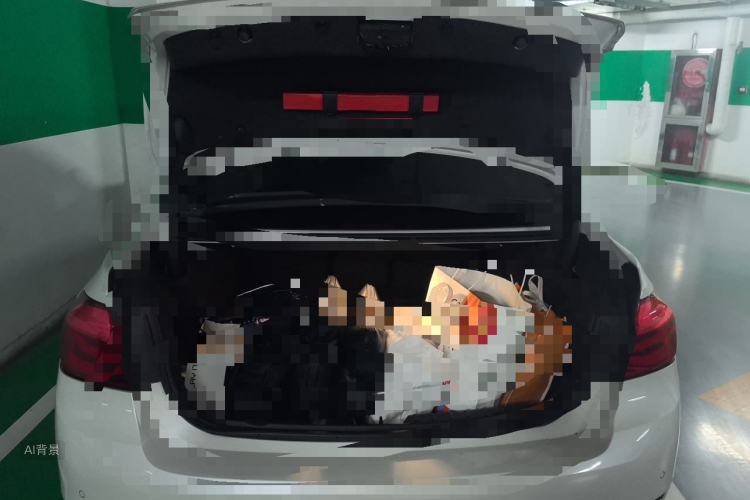BMW 3 Series 2017 car image #21