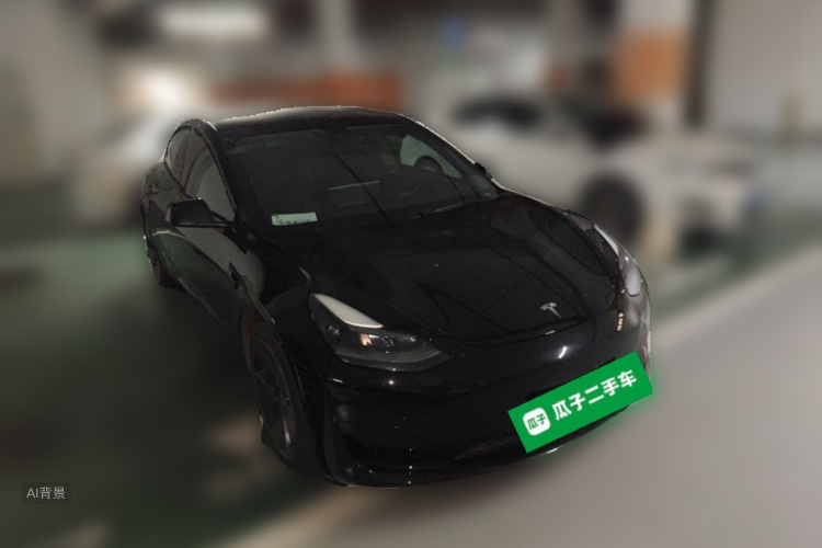 Tesla Model 3 2021 car image #4