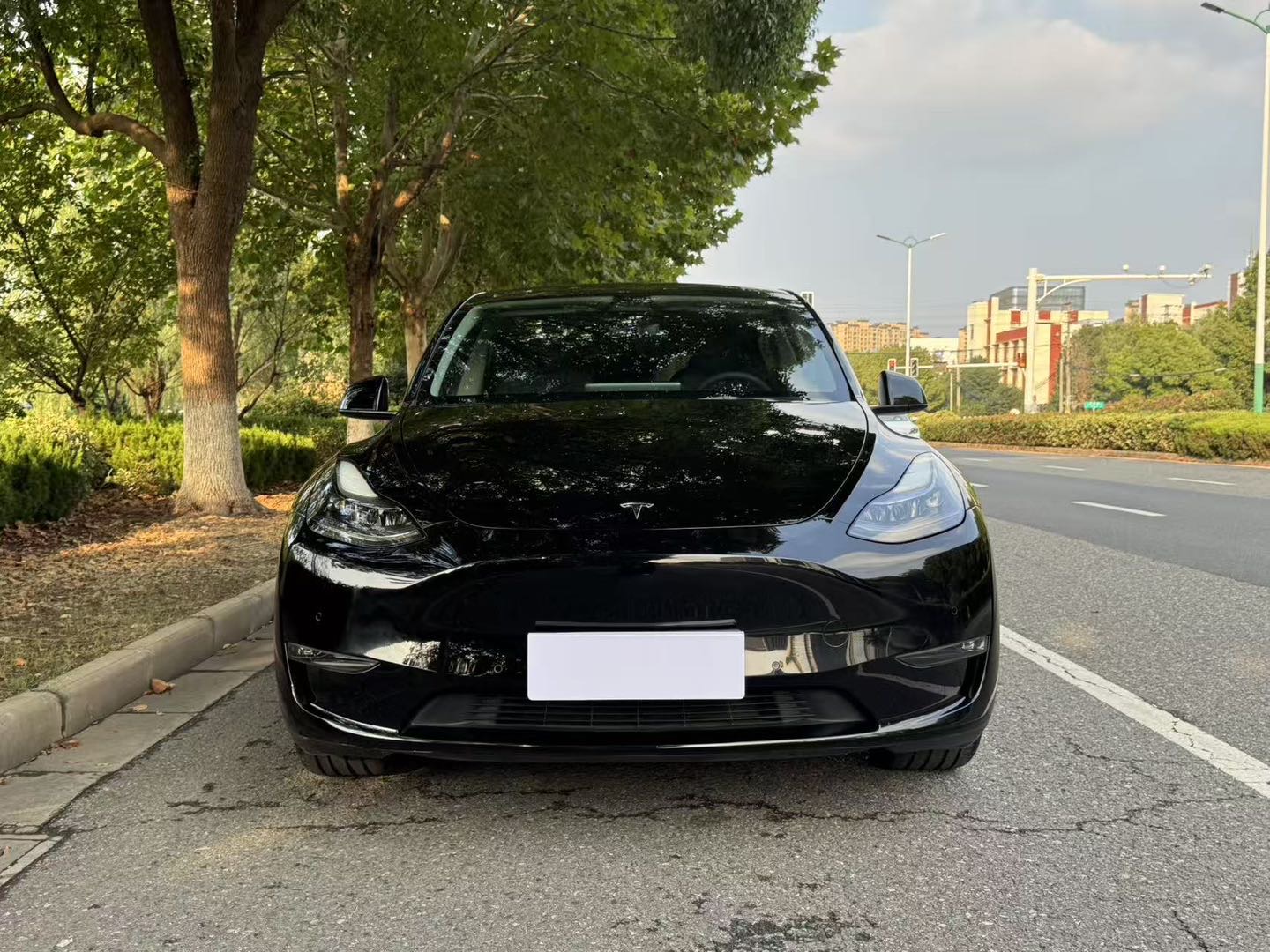 Tesla Model Y 2021 #4 Tesla Model Y 2021 car image #4