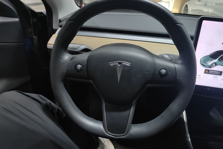 Tesla Model 3 2019 #13 Tesla Model 3 2019 immagine di auto #13