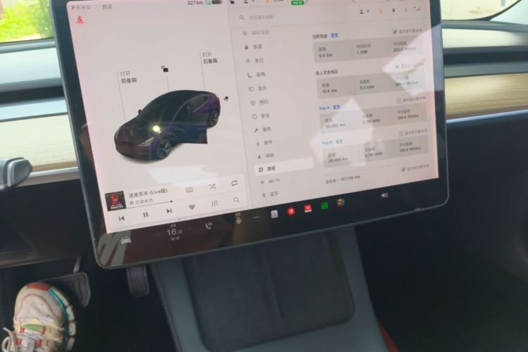 Tesla Model 3 2021 car image #13