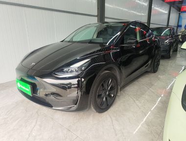 Tesla Model Y 2023 Tesla Model Y 2023 car image