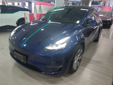 Tesla Model Y 2021 Tesla Model Y 2021 car image