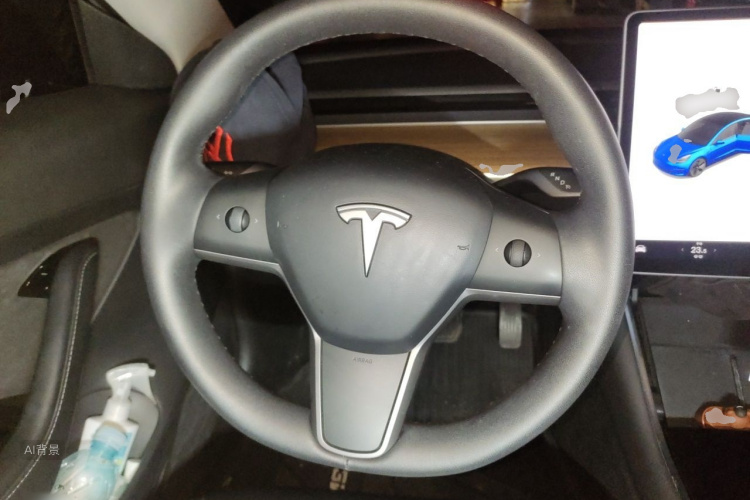 Tesla Model 3 2020 car image #12