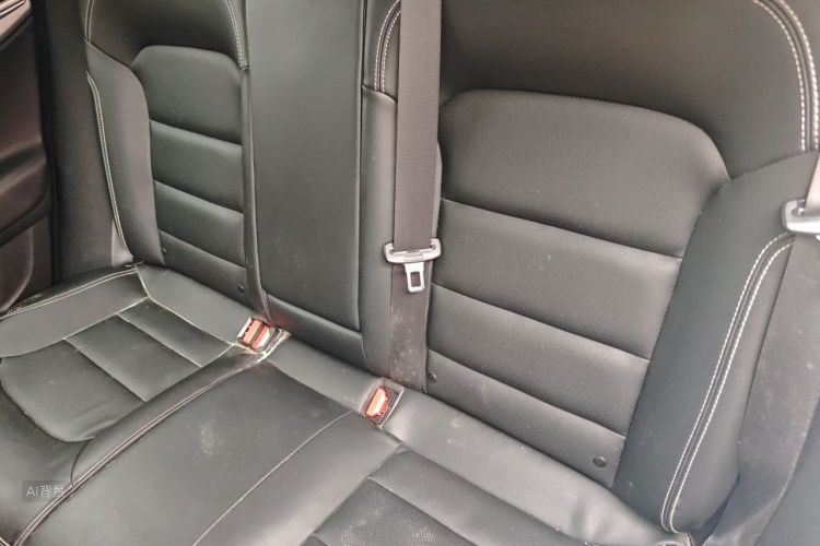 GEELY Emgrand GS 2019 car image #19