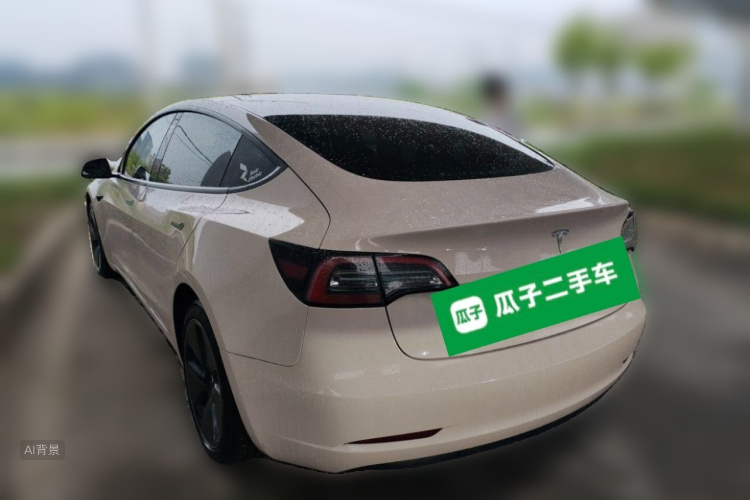 Tesla Model 3 2022 car image #5
