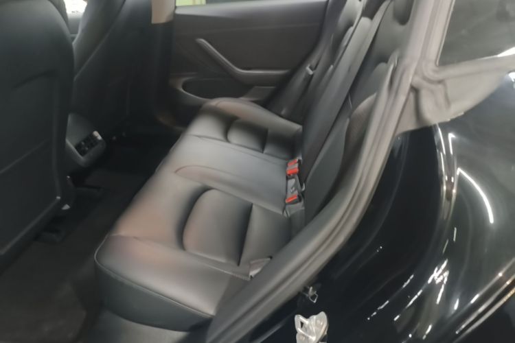 Tesla Model 3 2020 #17 Tesla Model 3 2020 car image #17