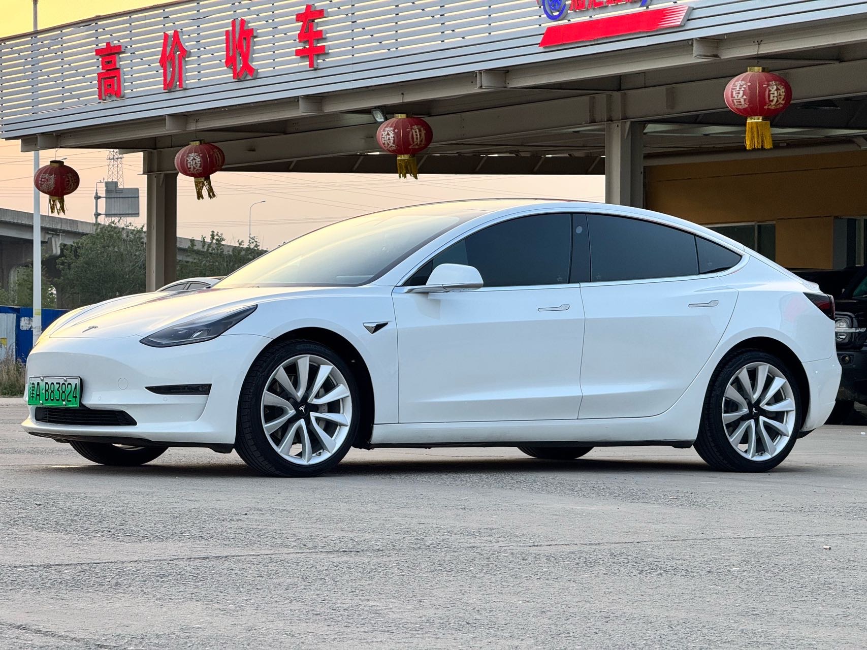 Tesla Model 3 2021 Tesla Model 3 2021 car image