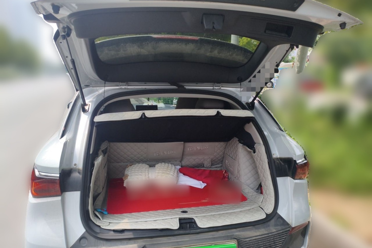 BYD Yuan Plus 2024 car image #18