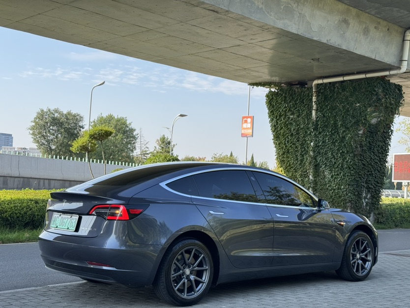 Tesla Model 3 2020 car image #4
