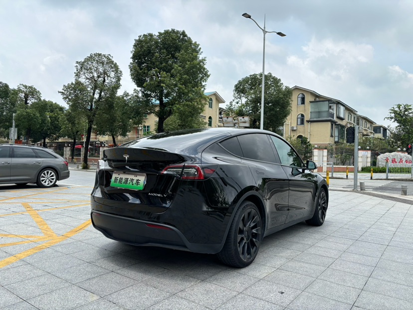 Tesla Model Y 2021 #6 Tesla Model Y 2021 car image #6