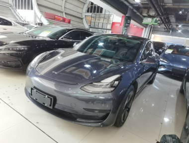 Tesla Model 3 2020 Tesla Model 3 2020 car image