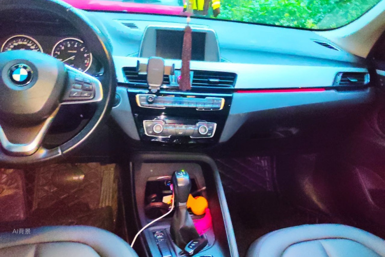 BMW X1 2017 immagine di auto #11