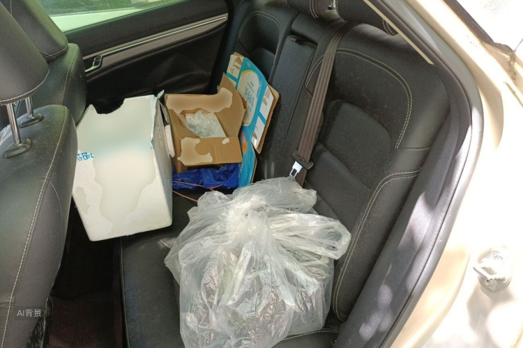 GEELY Emgrand GS 2016 car image #19
