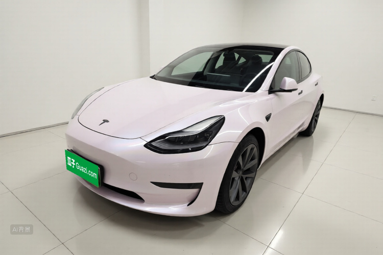 Tesla Model 3 2023 #2 Tesla Model 3 2023 car image #2